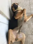 BARÃO