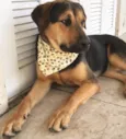 BARÃO