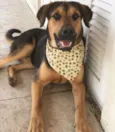 BARÃO
