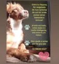 Paçoca