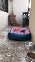 Paçoca