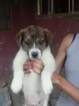 Não têm nome
