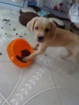 Marley