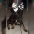 Nao tem 