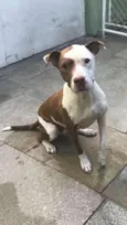 Bebeta