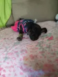 Bella