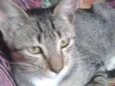 Tom
