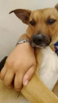 Oxxy