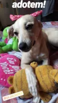 Maya