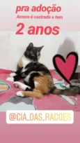 Amora