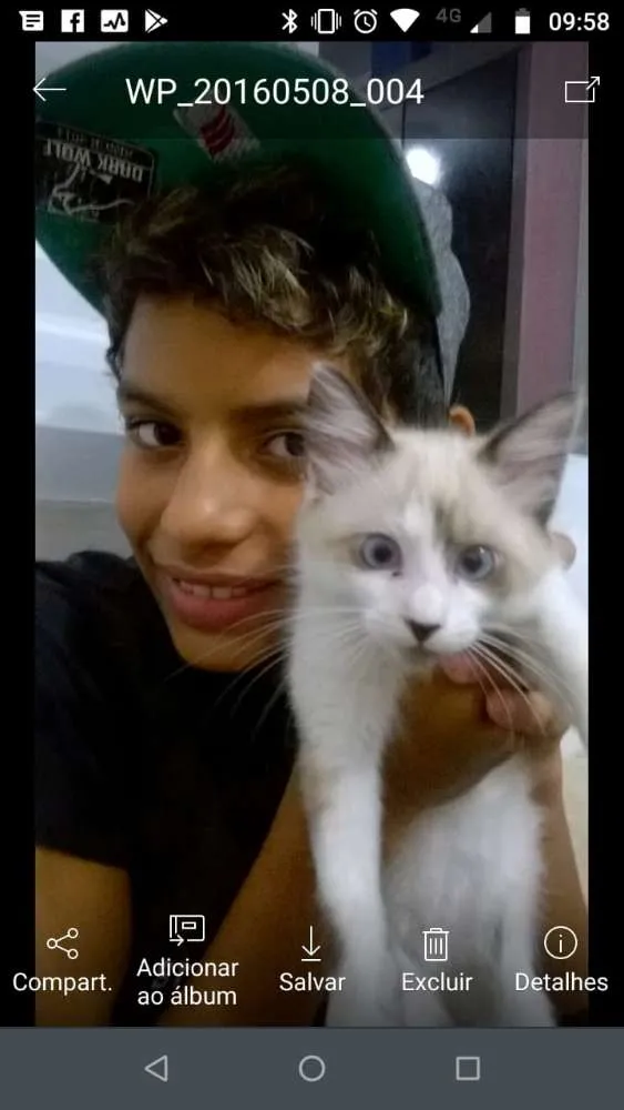 Gato ra a Sianesa idade 1 ano nome Mingau