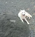 Viny e meg