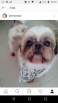 Charlie
