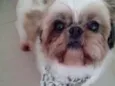 Charlie