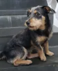 BIDU