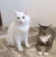 SKY e SABRINA