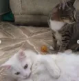 SKY e SABRINA