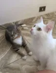 SKY e SABRINA
