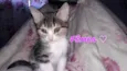 Nami e Mel