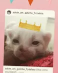 Jenny