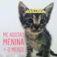 Jenny