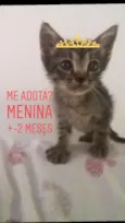 Jenny