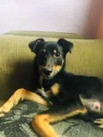 Julie