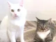 SKY e SABRINA