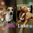 Luke e BelA
