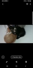 Flor e Floquinho