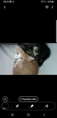 Flor e Floquinho