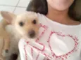 Mel