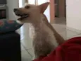 Mel