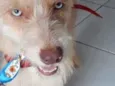 Luck