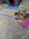 Linda