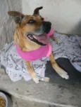 Linda