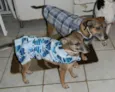 LILA E LUCA