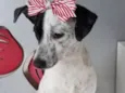 CLOTILDE
