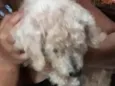 Não sabemos