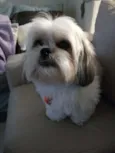 Marley