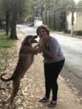 Simba