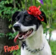 Fiona