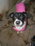 Fiona