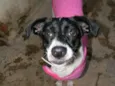 Fiona