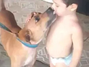 Cachorro raça Vira Lata idade 5 anos nome Mel