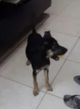 Dora