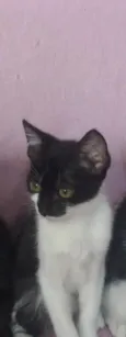 Sem nome