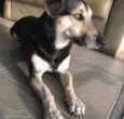 JUNIOR