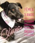 OLÍVIA