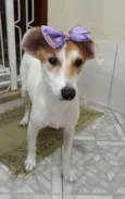 Branquinha
